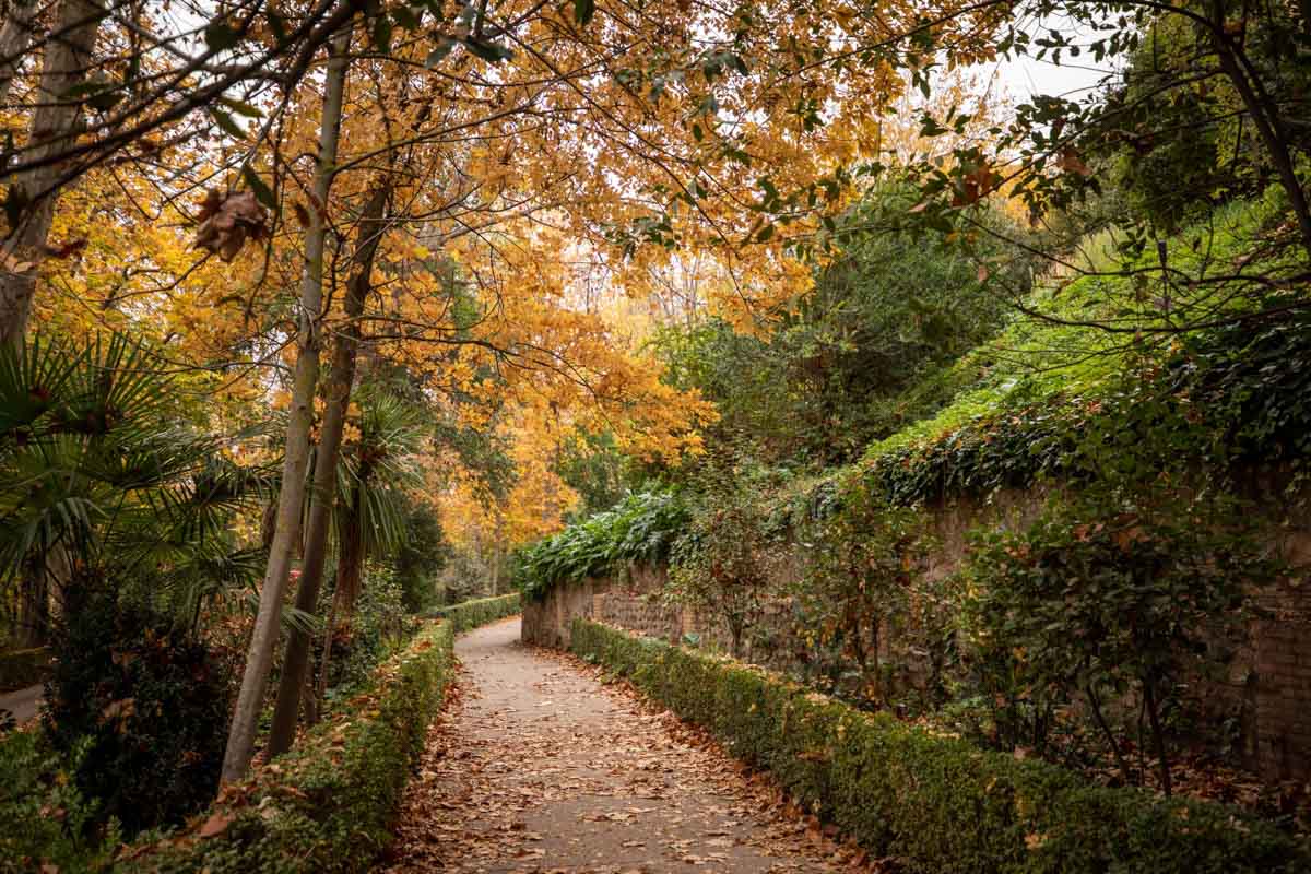La capital nazarí ofrece paisajes bellos y penetrantes en la estación otoñal | La Alhambra, el centro... todos los rincones ofrecen hermosas estampas