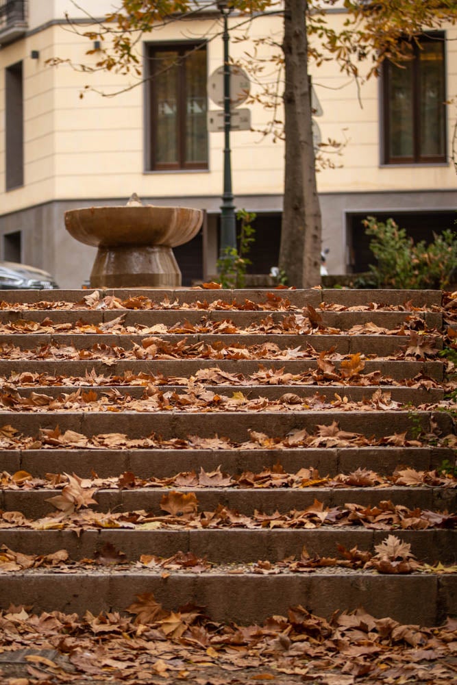 La capital nazarí ofrece paisajes bellos y penetrantes en la estación otoñal | La Alhambra, el centro... todos los rincones ofrecen hermosas estampas