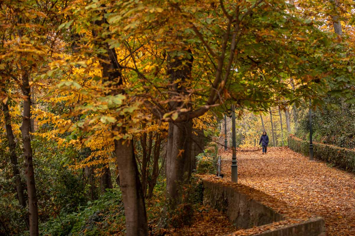 La capital nazarí ofrece paisajes bellos y penetrantes en la estación otoñal | La Alhambra, el centro... todos los rincones ofrecen hermosas estampas