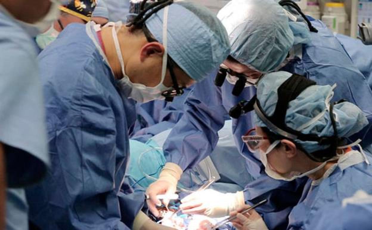 5 noticias sobre Granada para despedir informado el puente