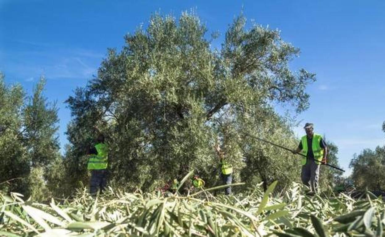 El alcalde de Pozo Alcón avanza que se están intensificando las medidas de seguridad