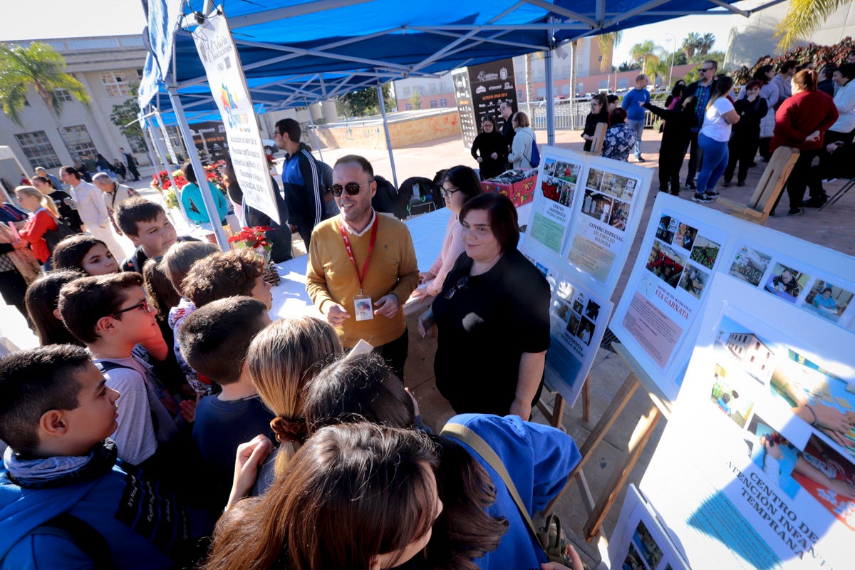 Esta nueva edición refuerza el carácter informativo al tiempo que destaca «la contribución fundamental a la sociedad» de las asociaciones locales