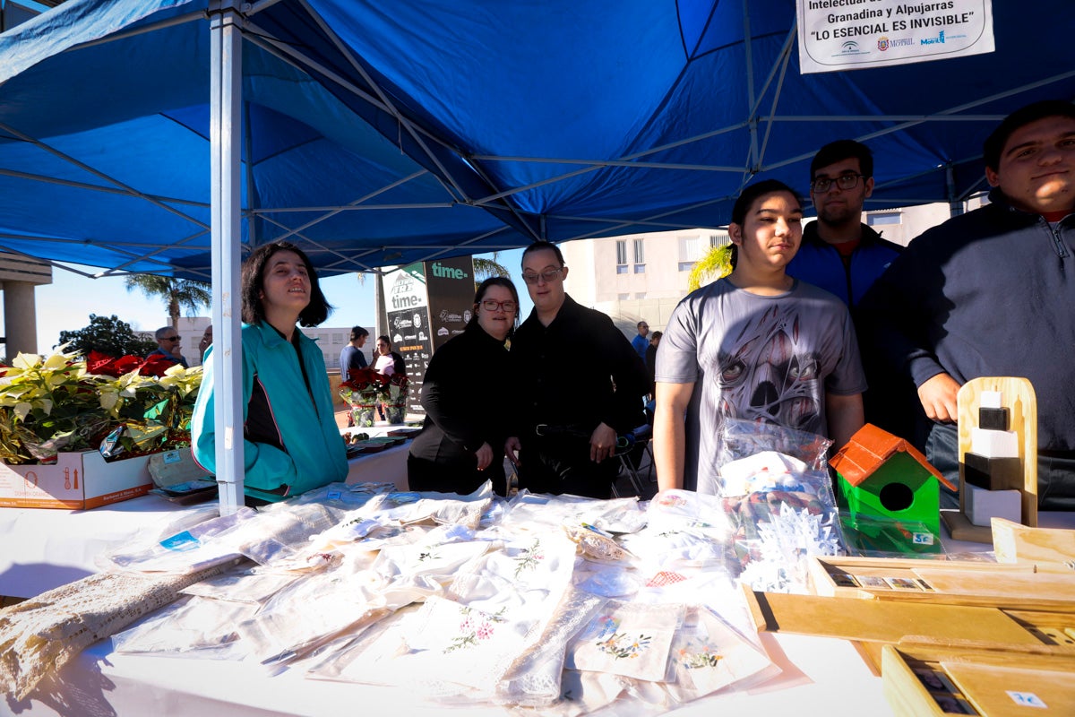 Esta nueva edición refuerza el carácter informativo al tiempo que destaca «la contribución fundamental a la sociedad» de las asociaciones locales