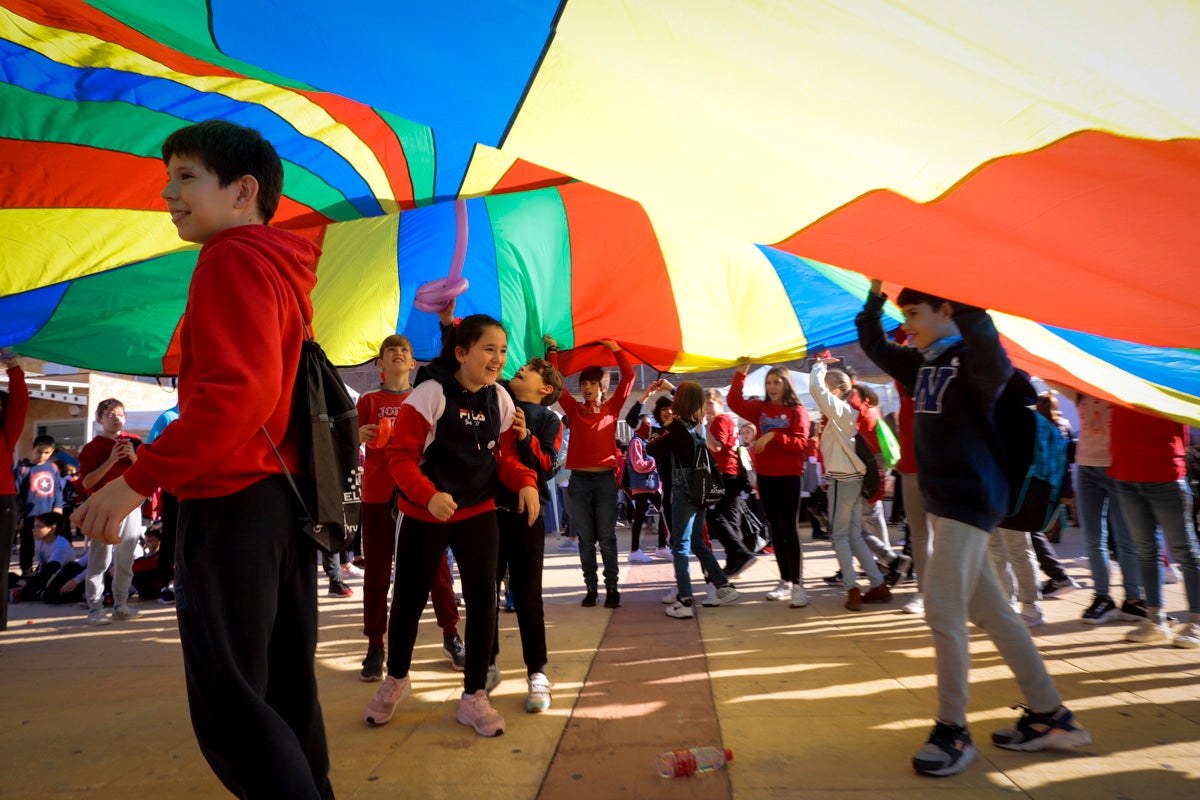 Esta nueva edición refuerza el carácter informativo al tiempo que destaca «la contribución fundamental a la sociedad» de las asociaciones locales