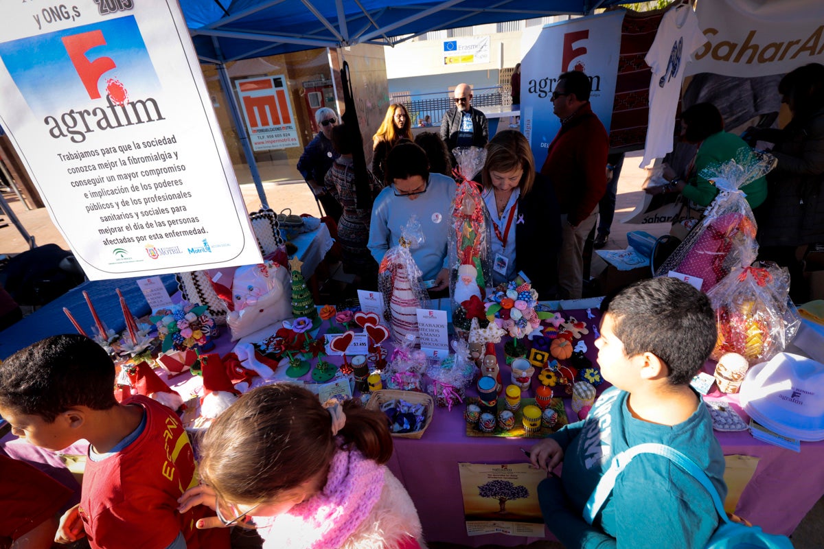 Esta nueva edición refuerza el carácter informativo al tiempo que destaca «la contribución fundamental a la sociedad» de las asociaciones locales