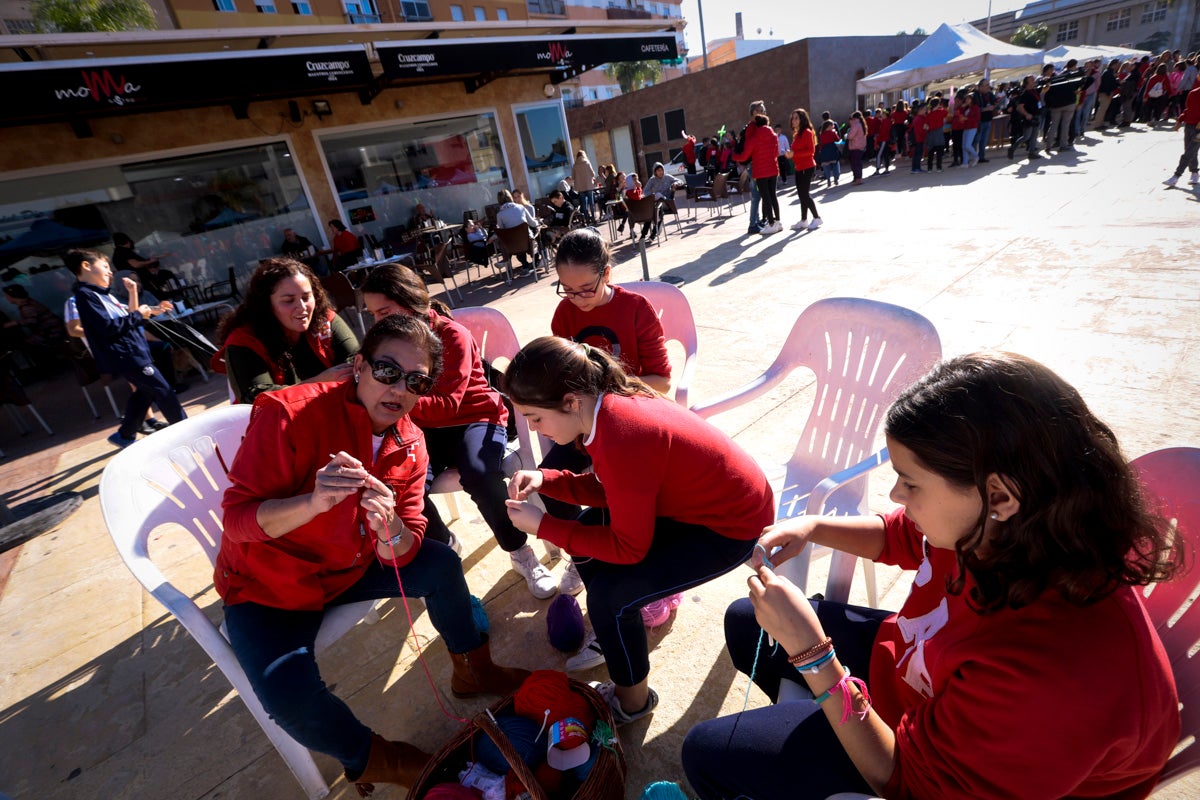Esta nueva edición refuerza el carácter informativo al tiempo que destaca «la contribución fundamental a la sociedad» de las asociaciones locales
