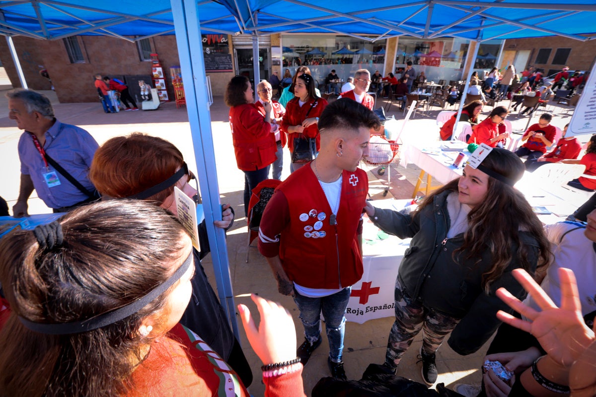 Esta nueva edición refuerza el carácter informativo al tiempo que destaca «la contribución fundamental a la sociedad» de las asociaciones locales