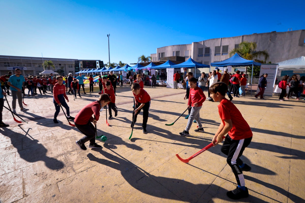 Esta nueva edición refuerza el carácter informativo al tiempo que destaca «la contribución fundamental a la sociedad» de las asociaciones locales