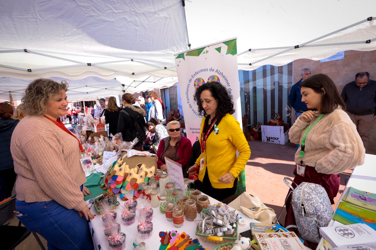 Esta nueva edición refuerza el carácter informativo al tiempo que destaca «la contribución fundamental a la sociedad» de las asociaciones locales