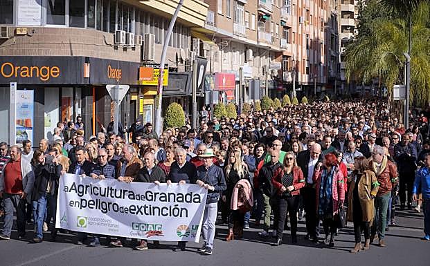 Manifestación por la crisis de precios en el campo, el pasado mes denoviembre en Motril. 