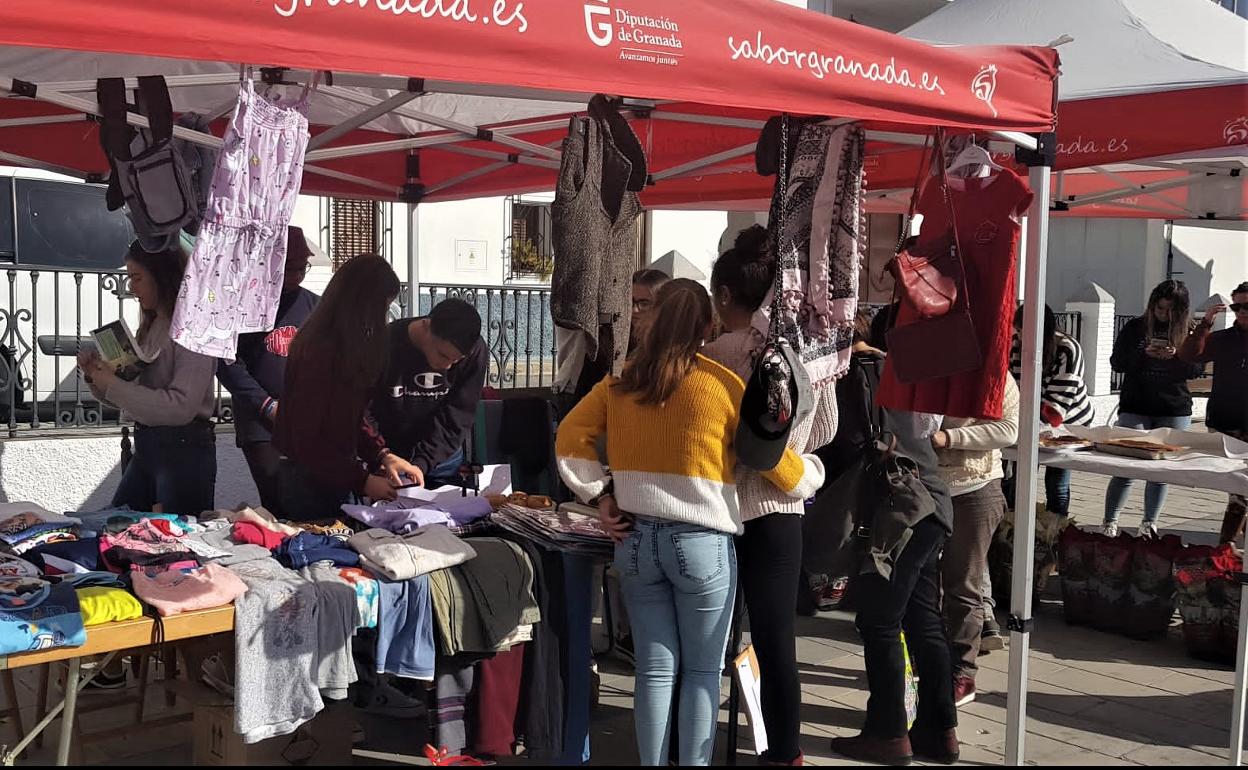 Cádiar participa en una campaña de recogida de bellotas que se realiza en toda la Península