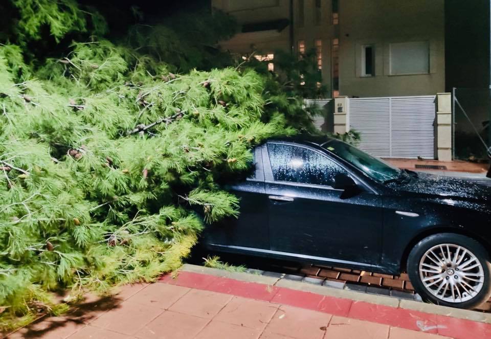 La provincia está en alerta naranja por el temporal con vientos de 90 km/hora 