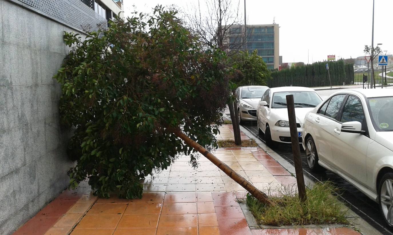 La provincia está en alerta naranja por el temporal con vientos de 90 km/hora 