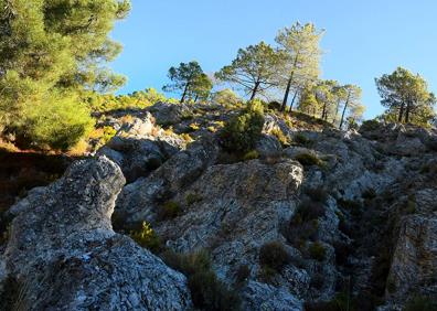 Imagen secundaria 1 - Ruta por Granada | El origen del río Darro, el &#039;nacimiento&#039; del agua