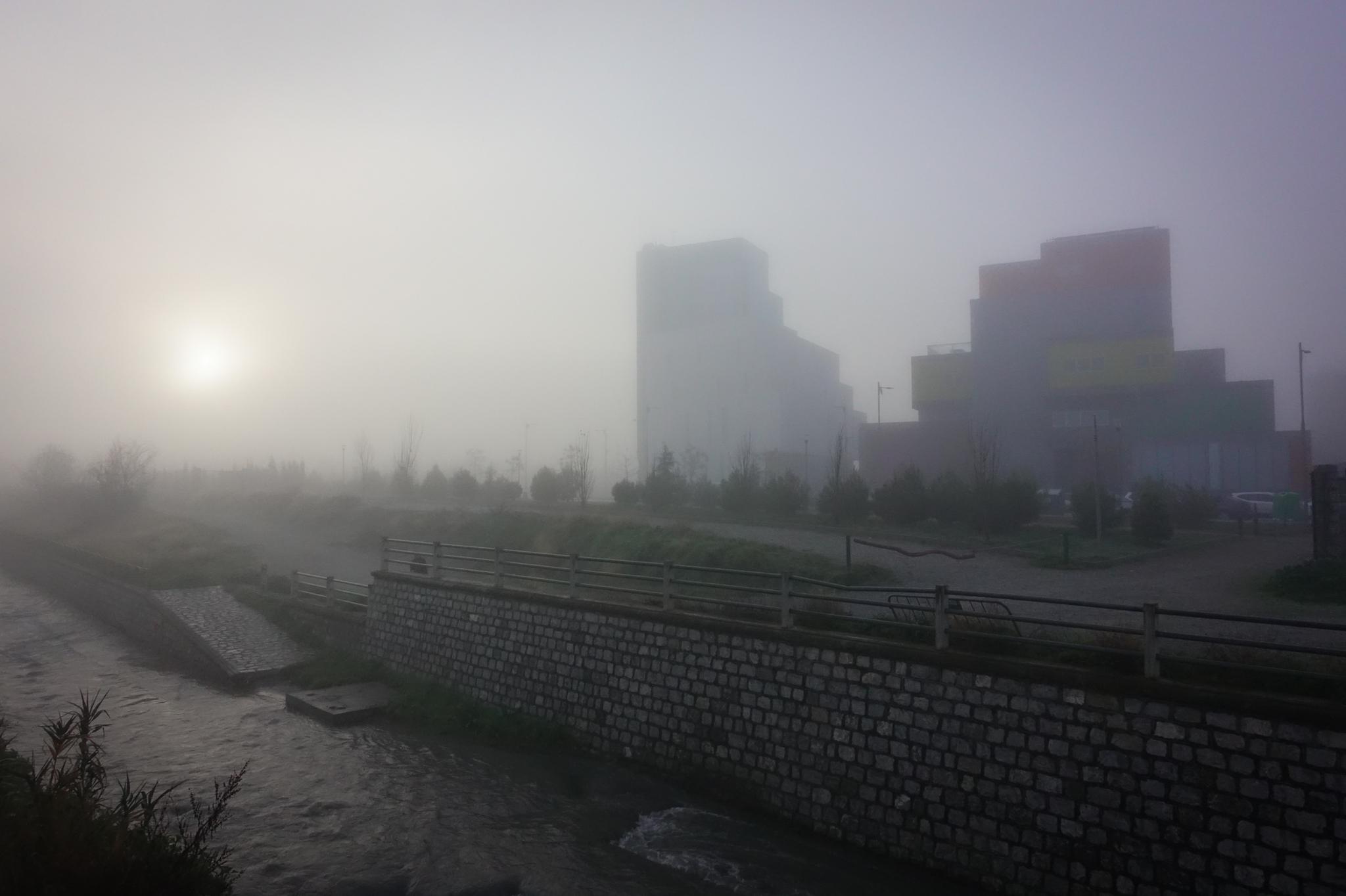 Las vacaciones escolares han permitido que no haya tráfico denso en la Circunvalación a pesar de la densa niebla que hay este lunes, 23 de diciembre de 2019, en la capital y el área metropolitana 