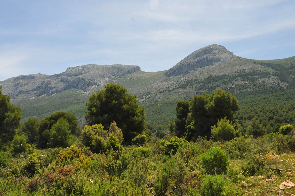 Las principales cimas de Sierra Arana desde la ruta del Enebral 