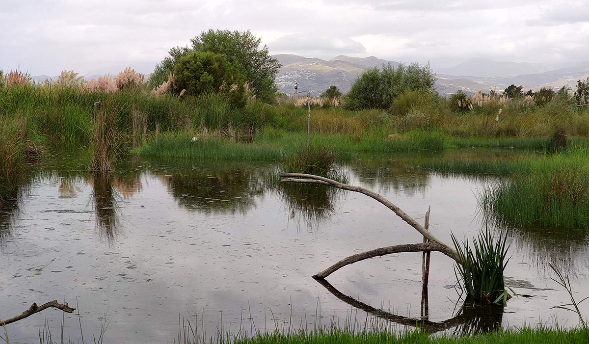 Laguna del Álamo 