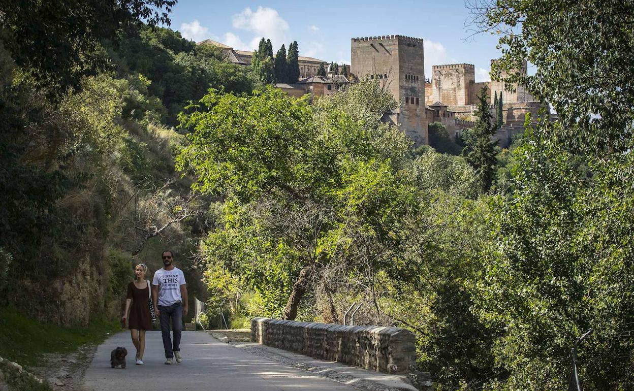 Una pareja, junto a su perro, en el Camino del Avellano.
