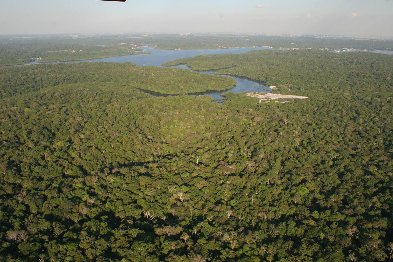 Amazonia