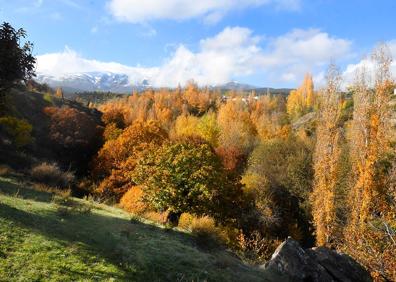 Imagen secundaria 1 - La fuente del Chortal, el agua de los castaños de Jérez
