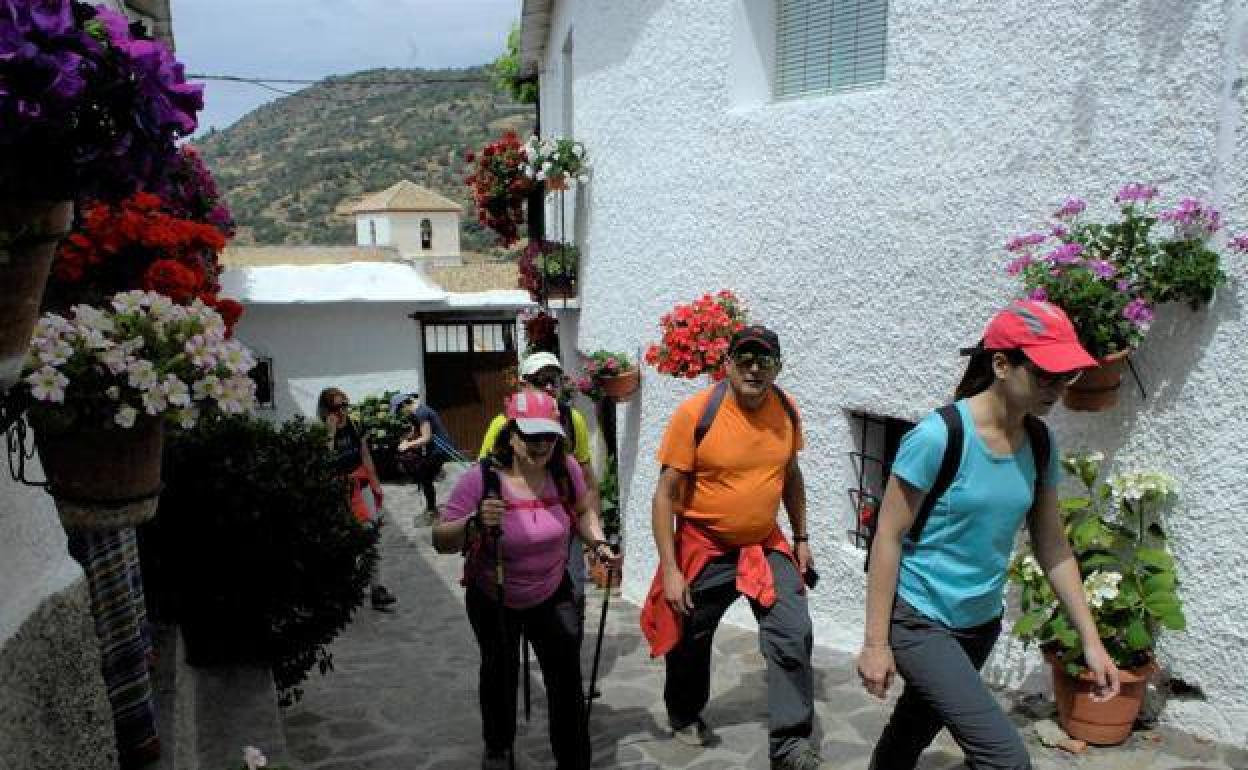 ¿Te atreves a quemar calorías entre cuestas?