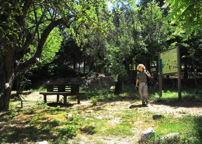 Imagen secundaria 1 - En el corazón del bosque de la Alfaguara