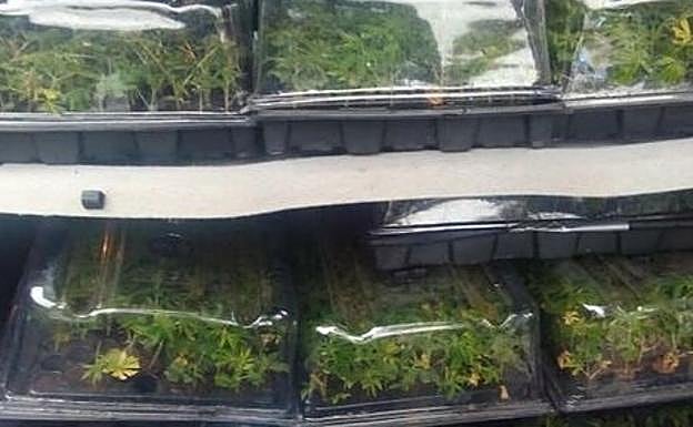 La Guardia Civil sorprende a un conductor en la A-7 en Granada con 2,6 kilos de marihuana en el coche