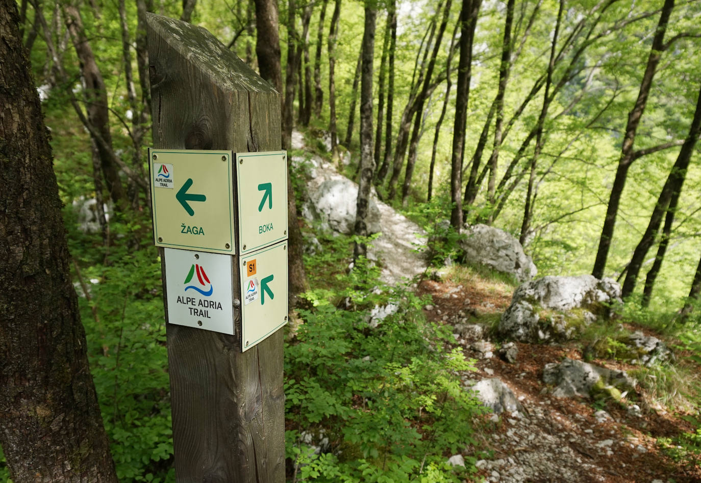 Eslovenia Trail