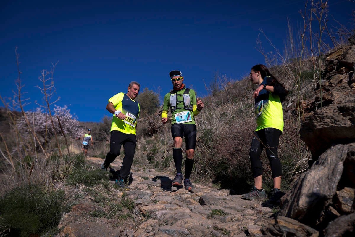 Si has estado en la carrera d eeste domingo aquí te puedes buscar