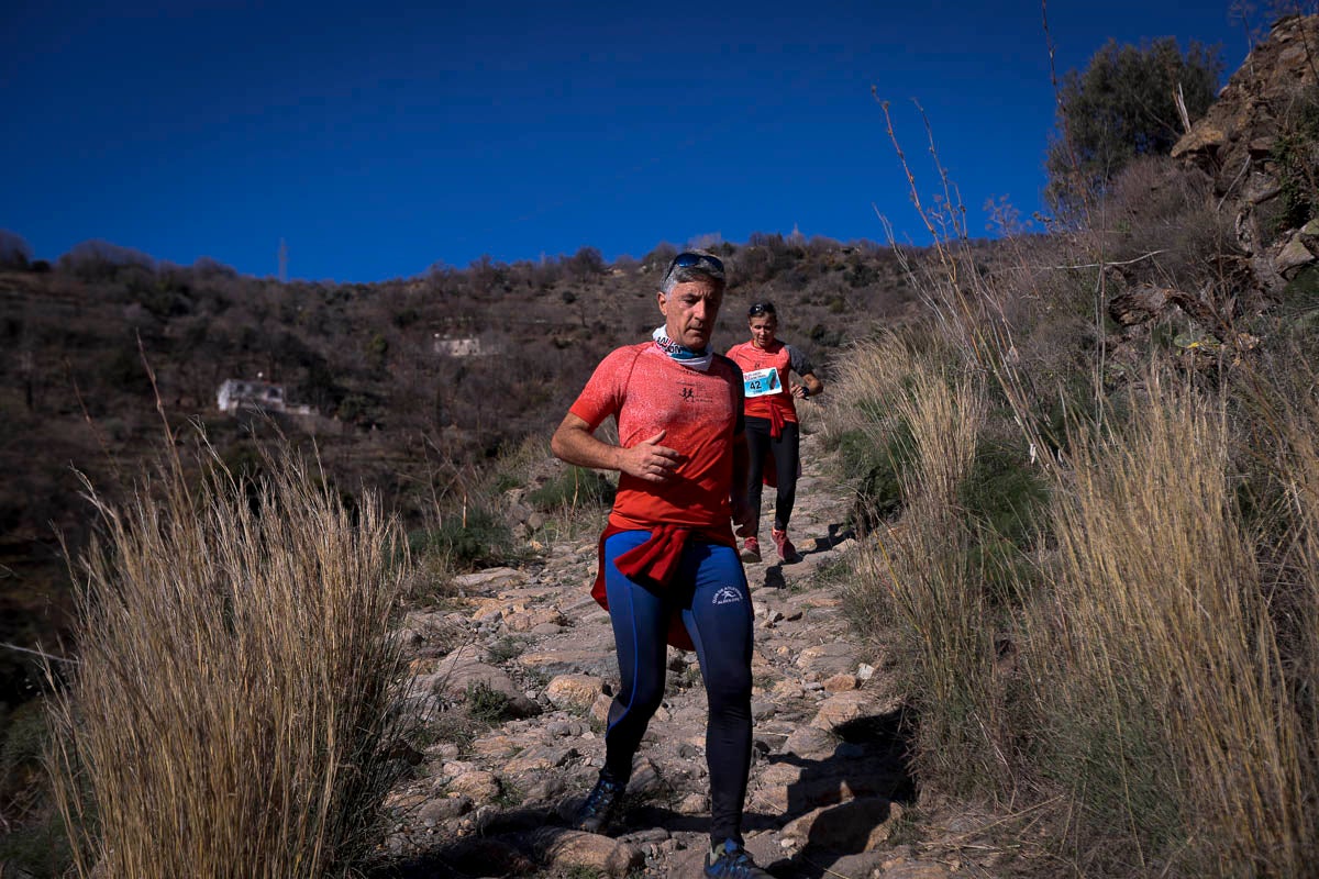 Si has participado en la carrera te puedes buscar aquí