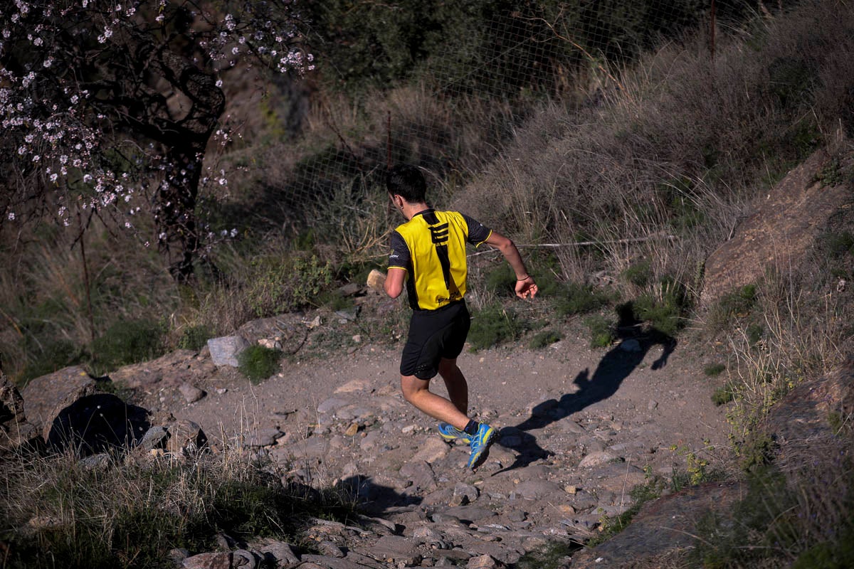 Si has participado en la carrera te puedes buscar aquí