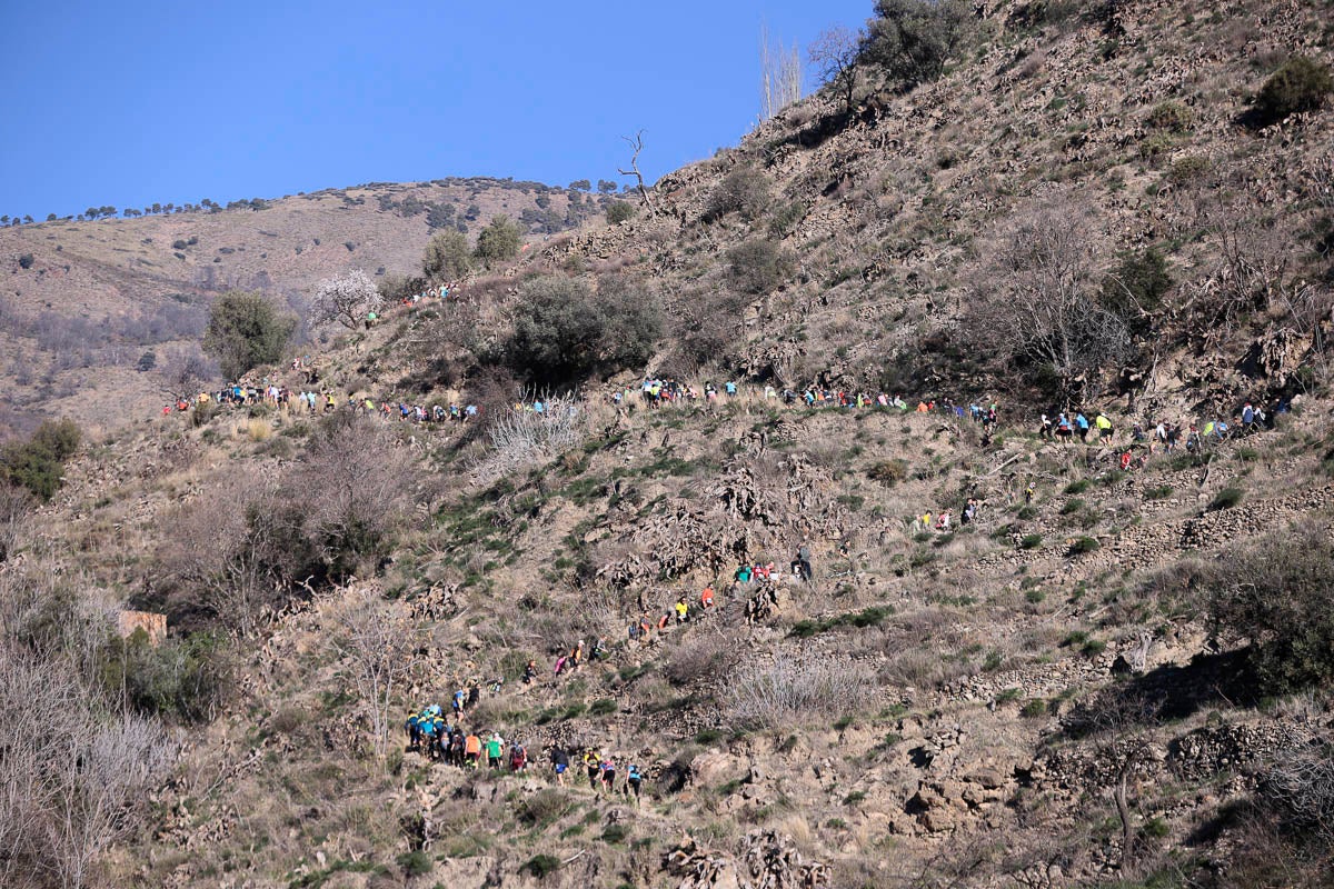 Si has participado en la carrera te puedes buscar aquí