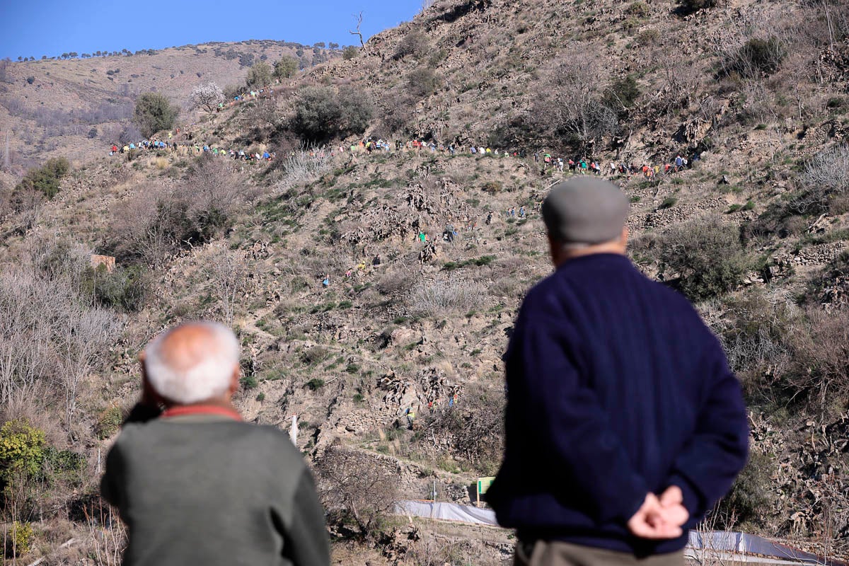 Si has participado en la carrera te puedes buscar aquí