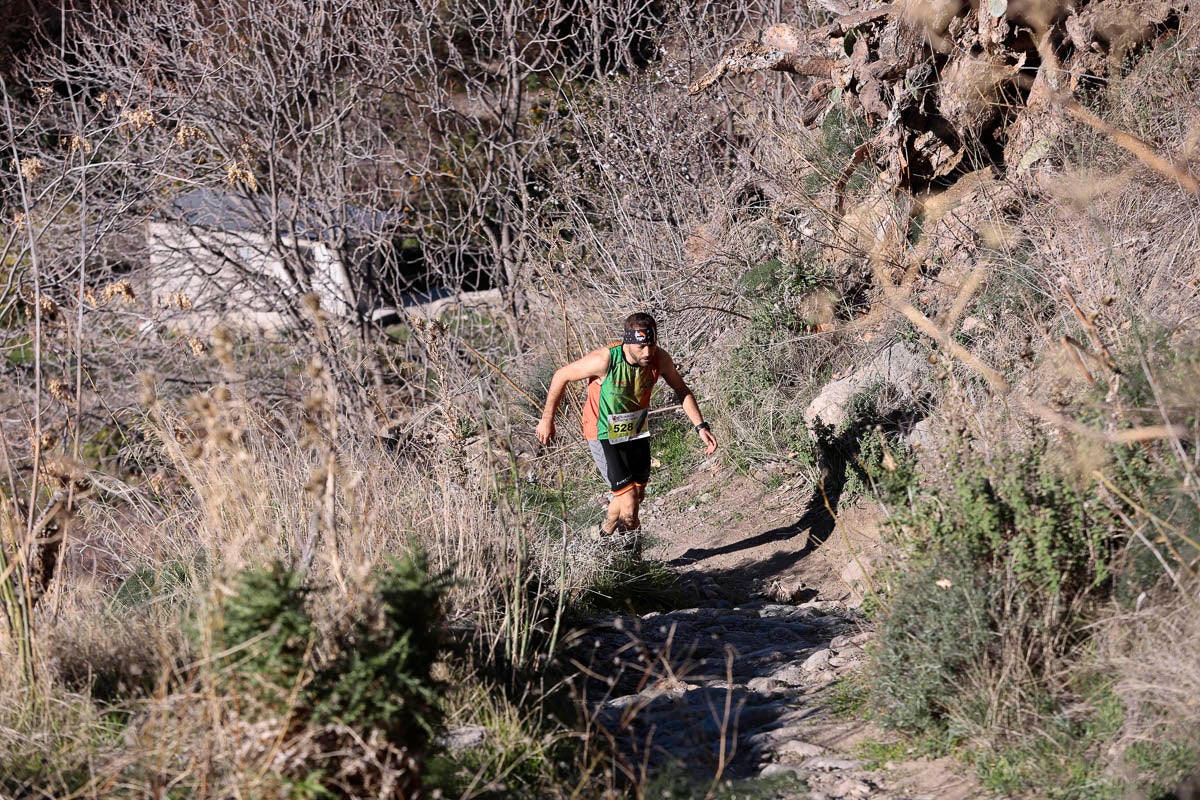 Si has participado en la carrera te puedes buscar aquí