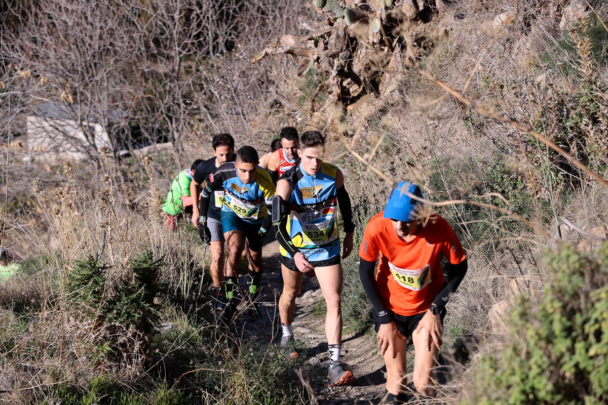 Si has participado en la carrera te puedes buscar aquí
