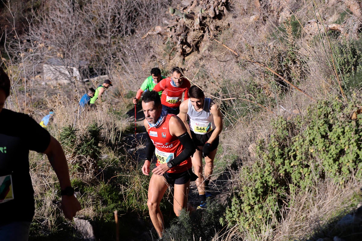 Si has participado en la carrera te puedes buscar aquí