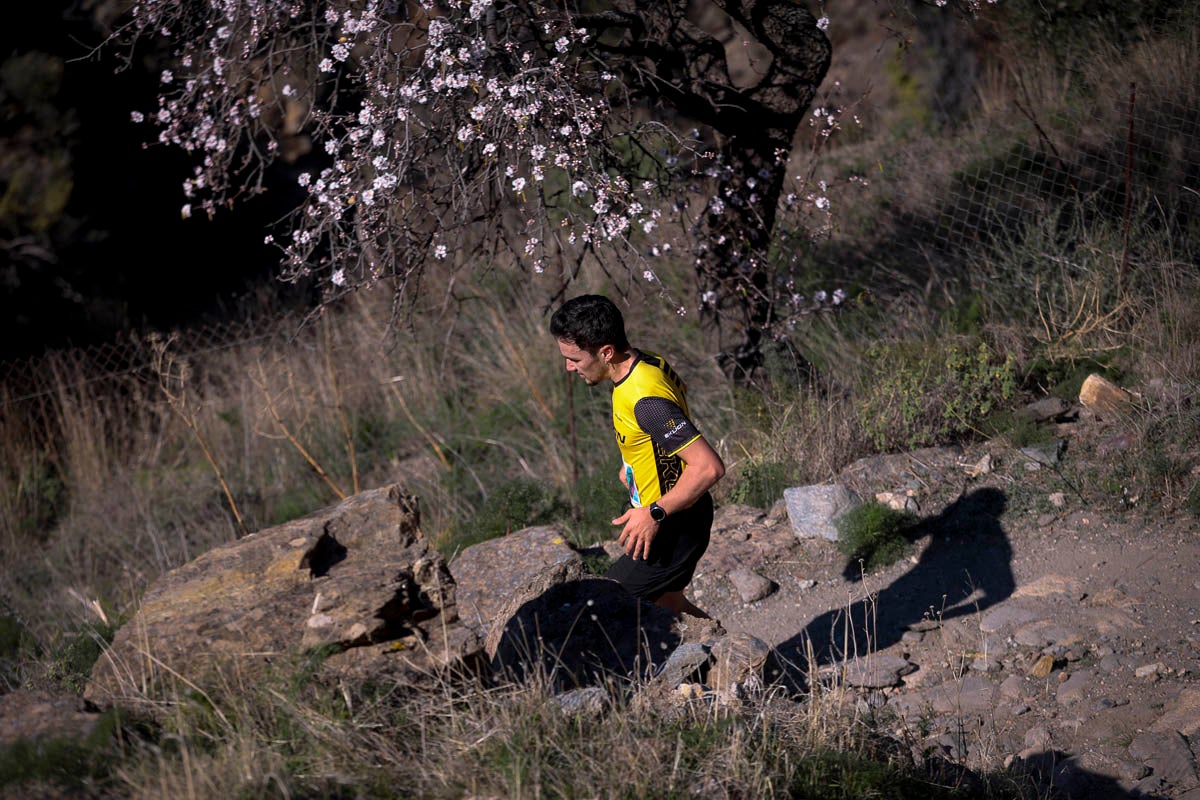 Si has participado en la carrera te puedes buscar aquí