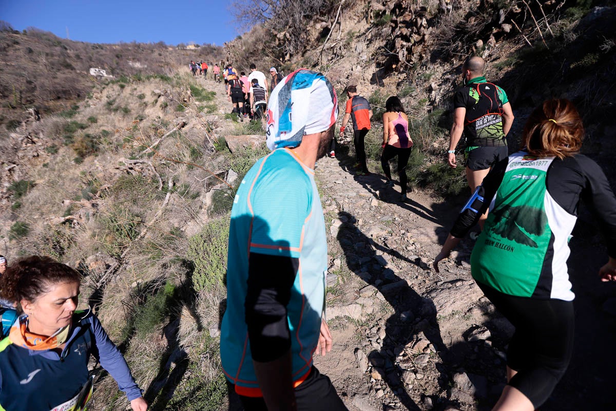 Si has participado en la carrera te puedes buscar aquí