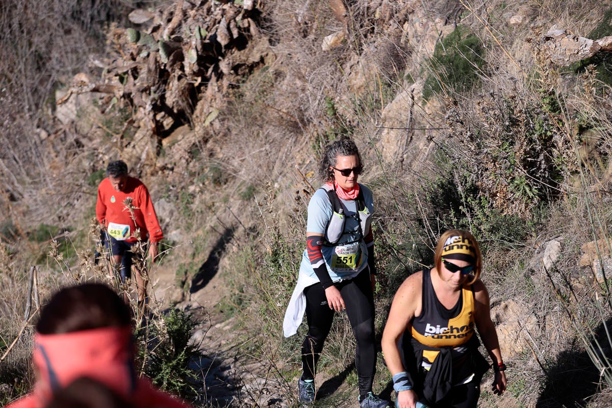 Si has participado en la carrera te puedes buscar aquí