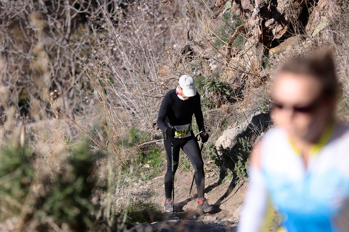 Si has participado en la carrera te puedes buscar aquí