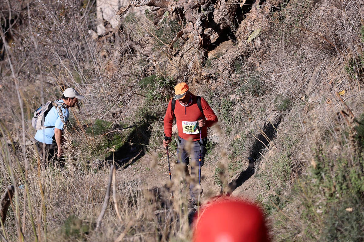 Si has participado en la carrera te puedes buscar aquí