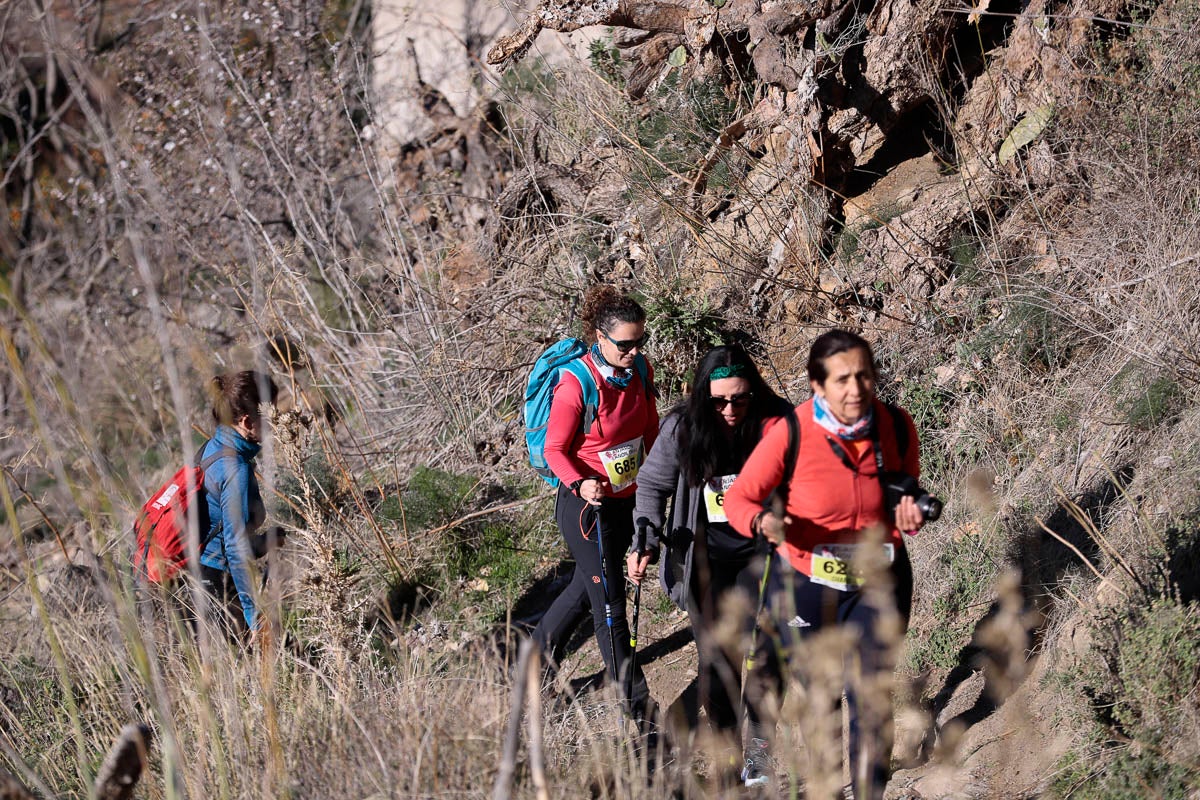 Si has participado en la carrera te puedes buscar aquí