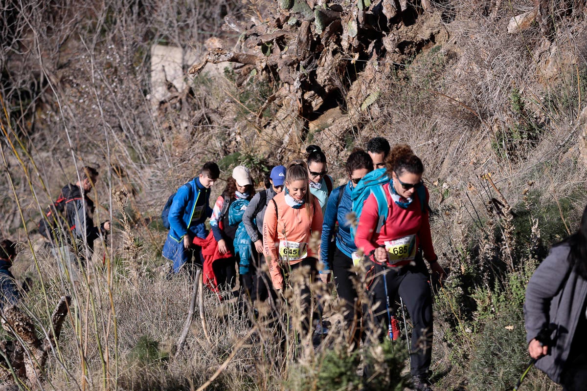 Si has participado en la carrera te puedes buscar aquí