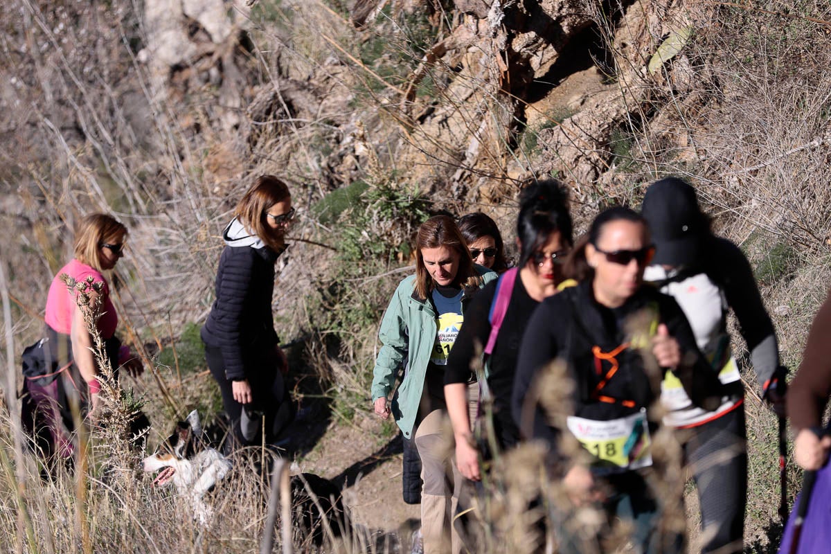 Si has participado en la carrera te puedes buscar aquí