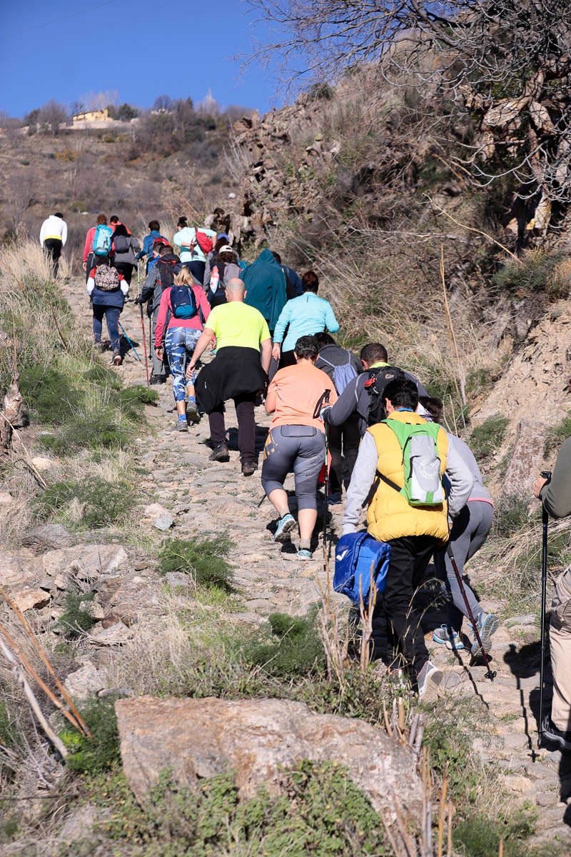 Si has participado en la carrera te puedes buscar aquí