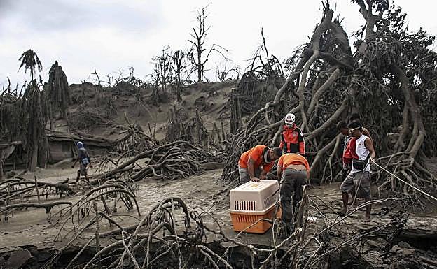 Los vecinos y los equipos de rescate recogen los aninales de los evacuados.
