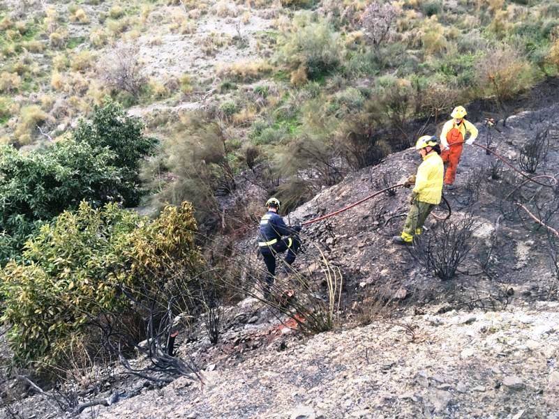 Infoca y Bomeros han intervenido en el suceso.