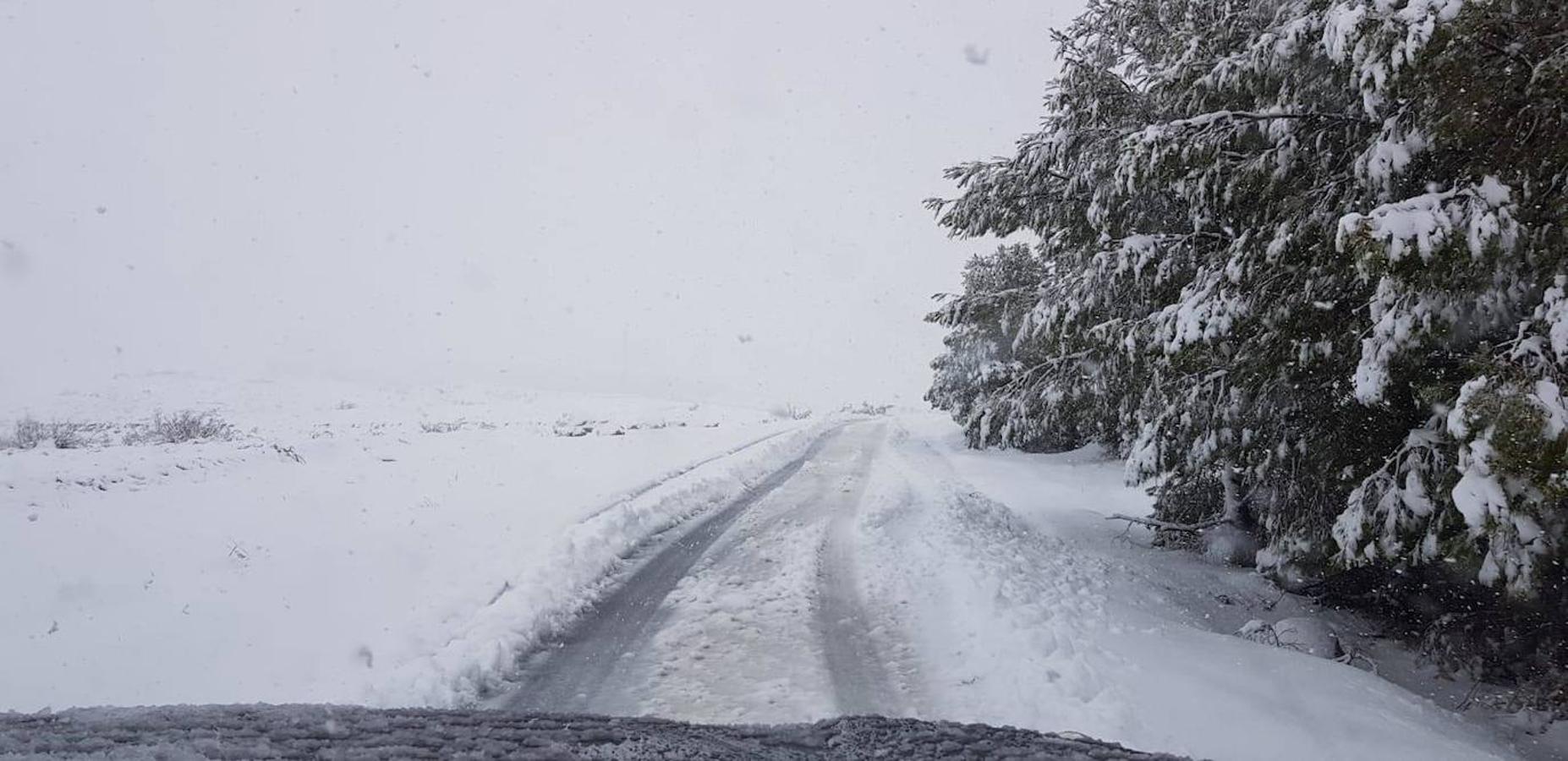 Almería se tiñe de blanco.