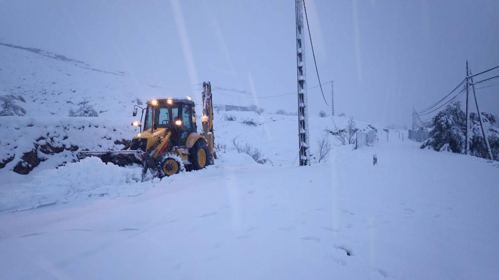 Almería se tiñe de blanco.