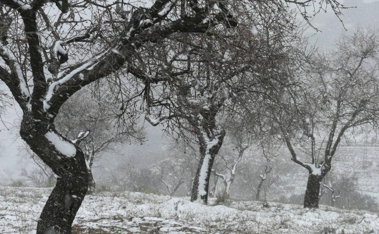 Nieve en Granada | Dos mantos blancos sobre tierras alpujarreñas